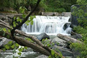 Moving Water Fin